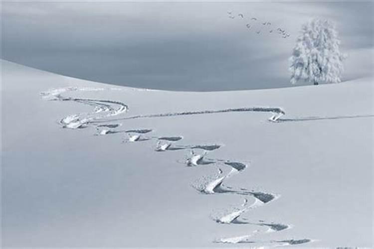 梦见周围山上有雪