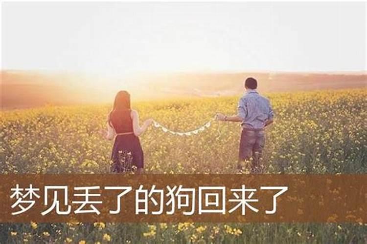 梦见前妻要回来一起生活了