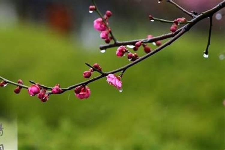 清明节和谷雨属于哪个季节