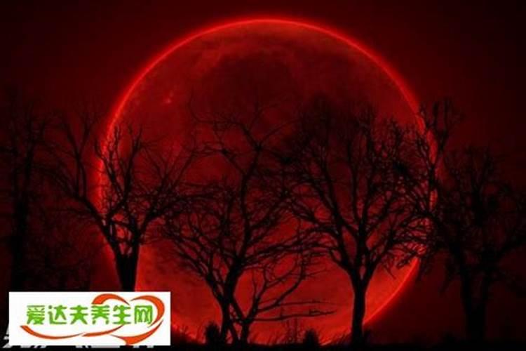 梦见巨大红色月亮