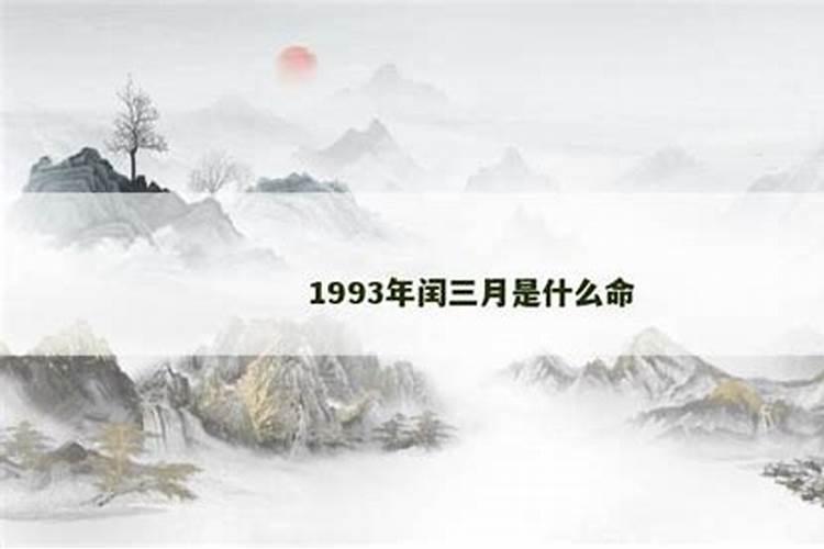 1993年闰三月出生的人财运