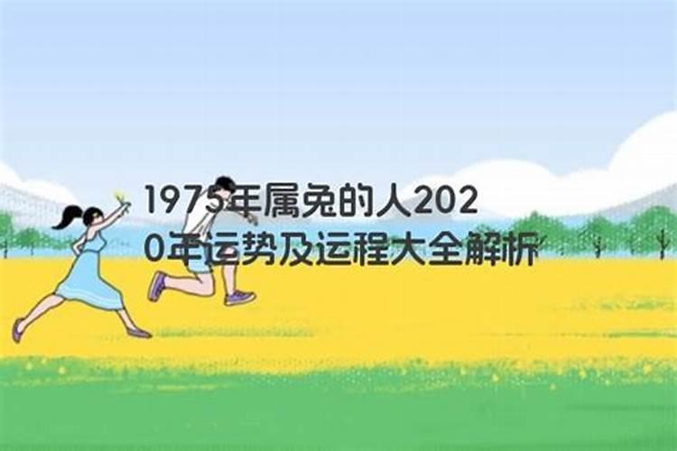 生兔2020年运势大全