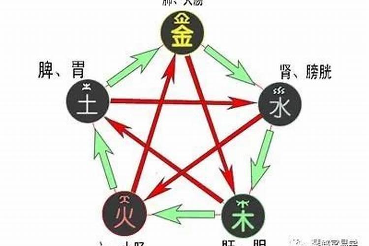 五行缺木的人身体哪里不好