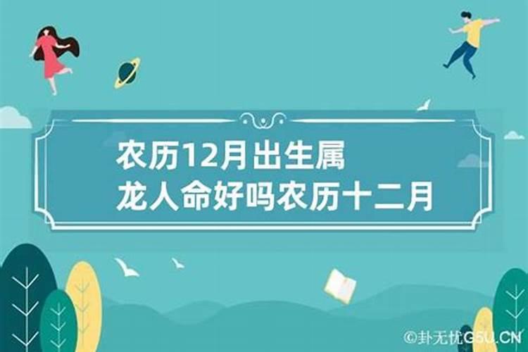 农历12月出生龙的运势