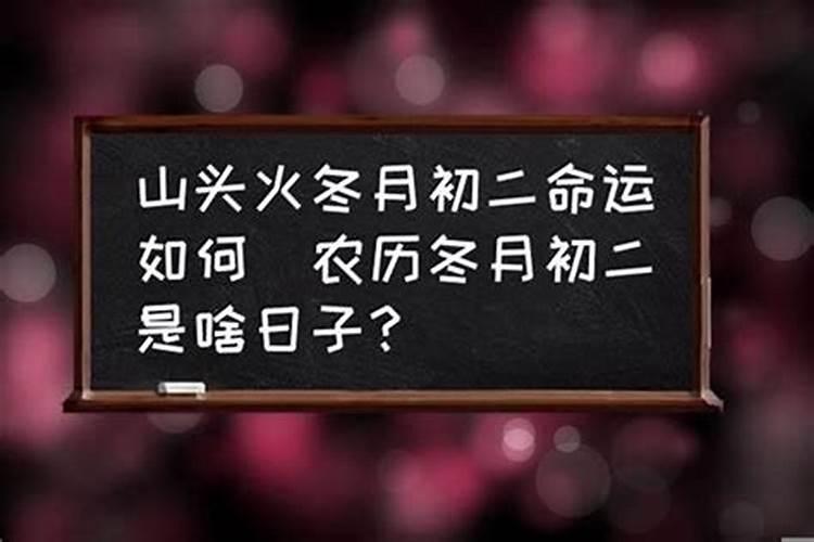 甲寅年出生2023运势