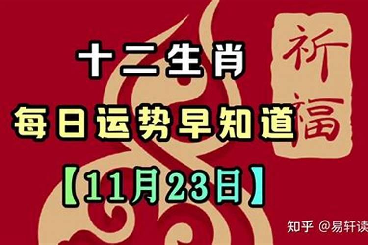 2020年12月23号十二生肖运势