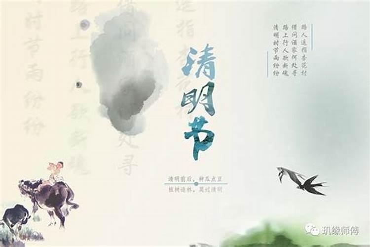 清明节生日的人命硬