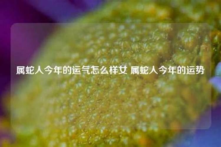 属蛇十月运气怎么样