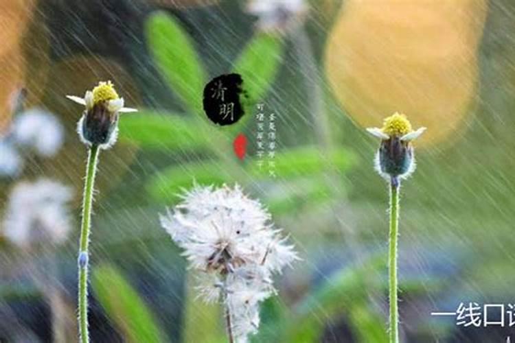 清明节没几天就下雨了