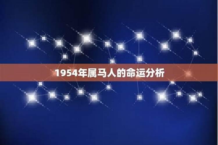 1954年出生属马人的运程