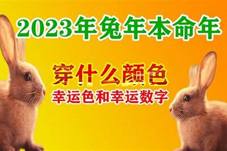 87年属兔2023年本命年穿什么颜色