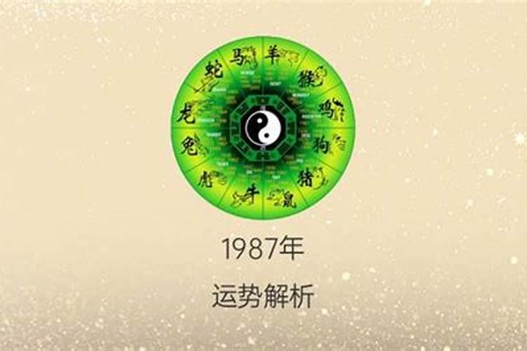 1987年正月二十四出生运势