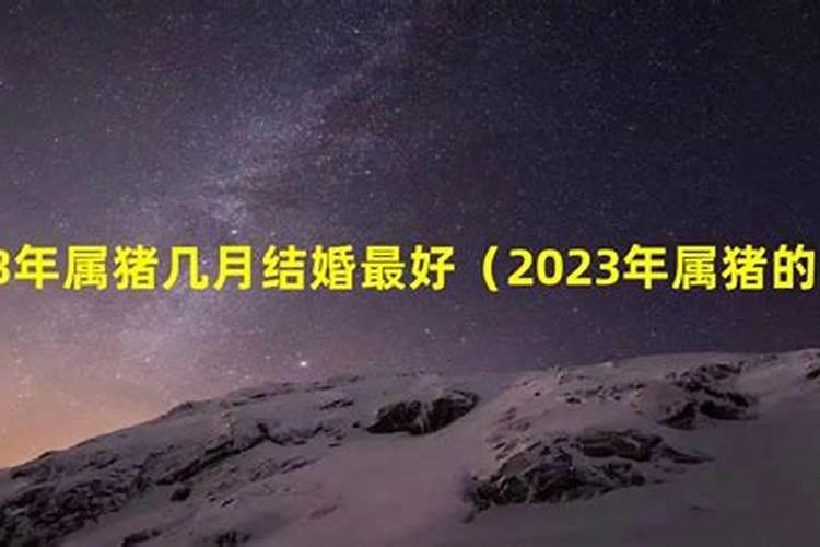 属猪大利月是几月份2022