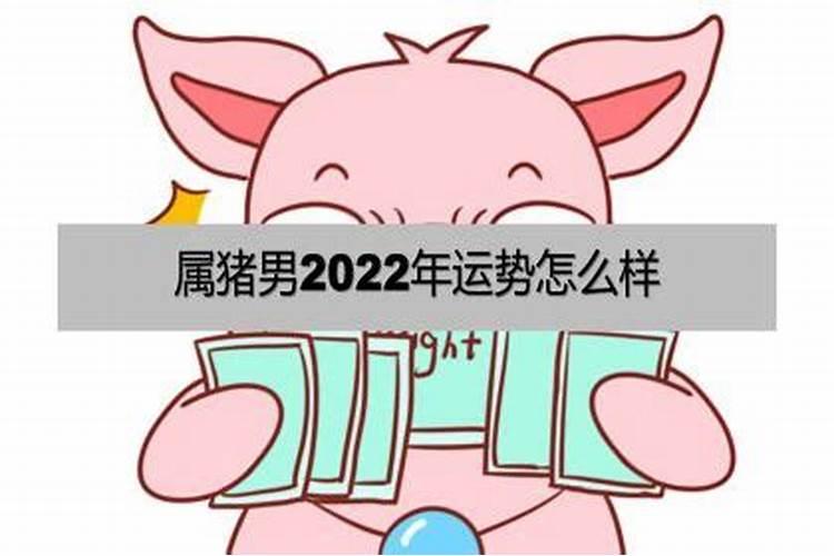 71年属猪男2022年命运