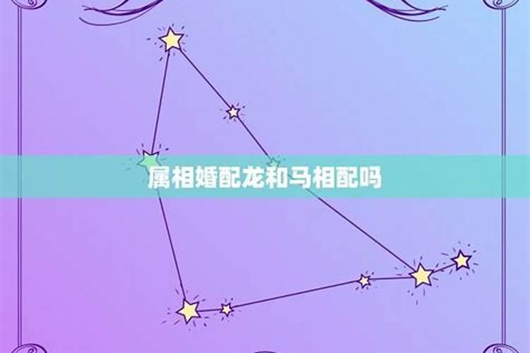 巨蟹座女配什么星座男前十的