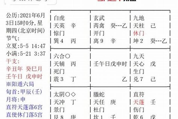 鼠人2023年运势及感情运程