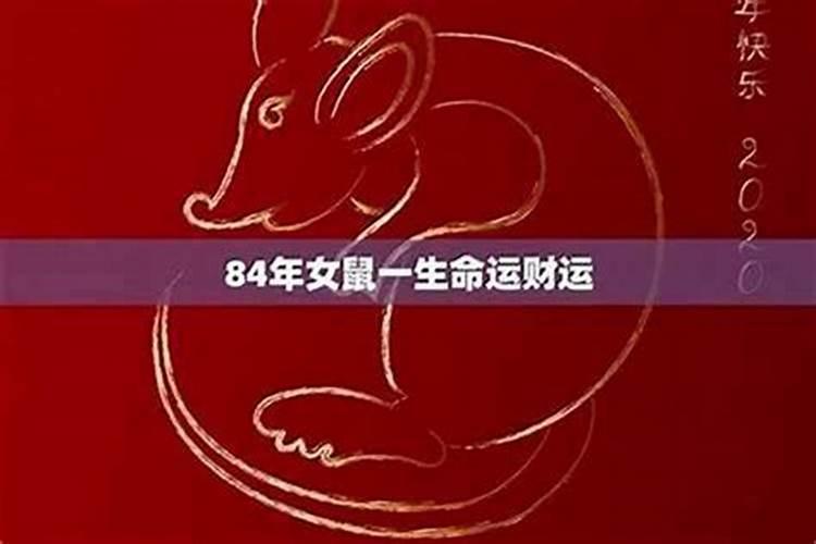 84年女鼠2021年的运势及运程如何