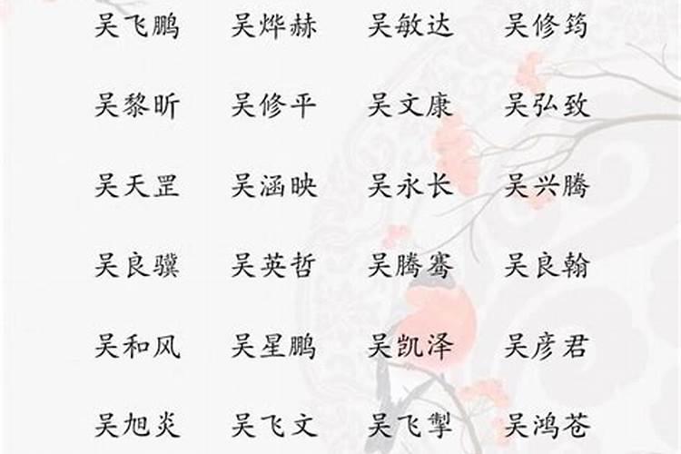 姓吴的男孩名字大全属虎两个字