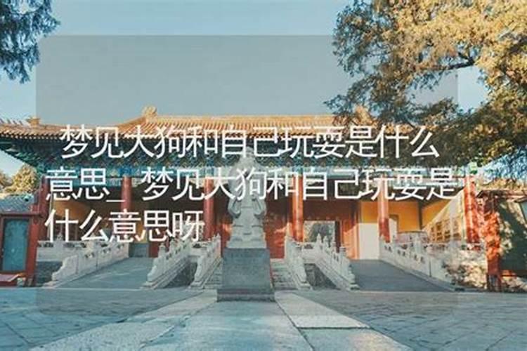 梦见前夫和自己道歉是什么意思