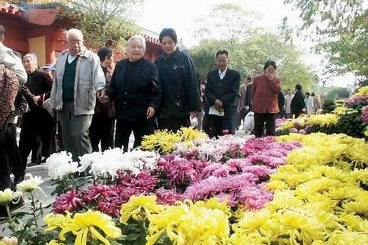 重阳节什么时候开始有赏菊