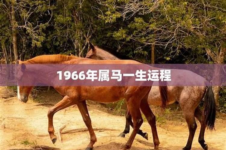 90年2月马2020年运势