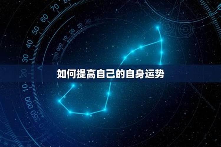 七月份运势如何新历属鼠2023年