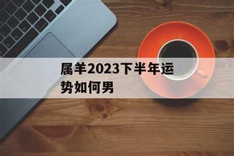 属羊2024下半年运势