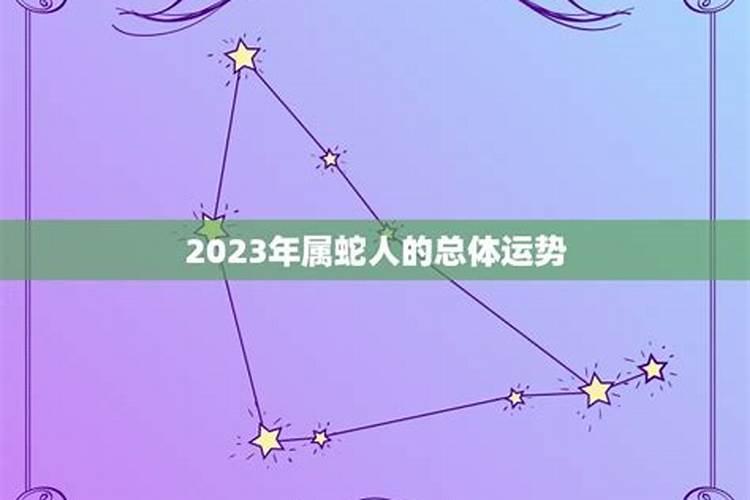 属蛇运势如何2023