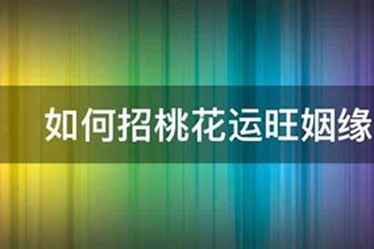 2021年属猪男人全年运势