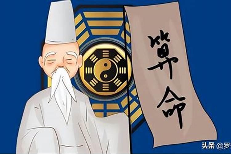 今年属鼠8月份运势2024年