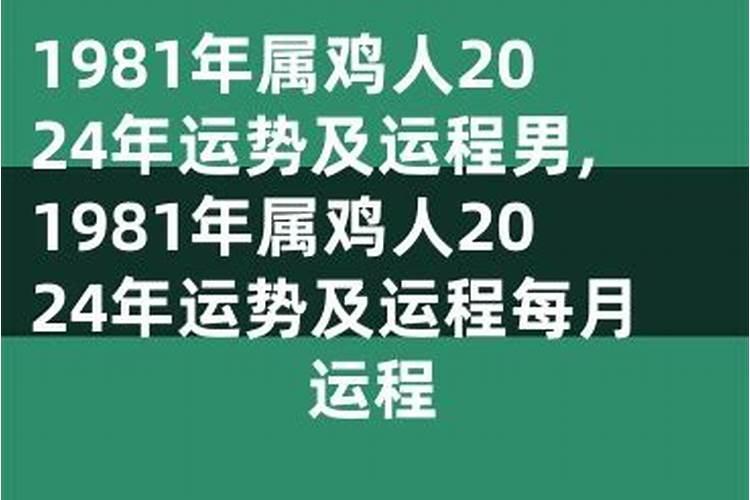 1993鸡2024年运程