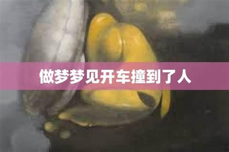 做梦梦到自己开车撞了怎么回事