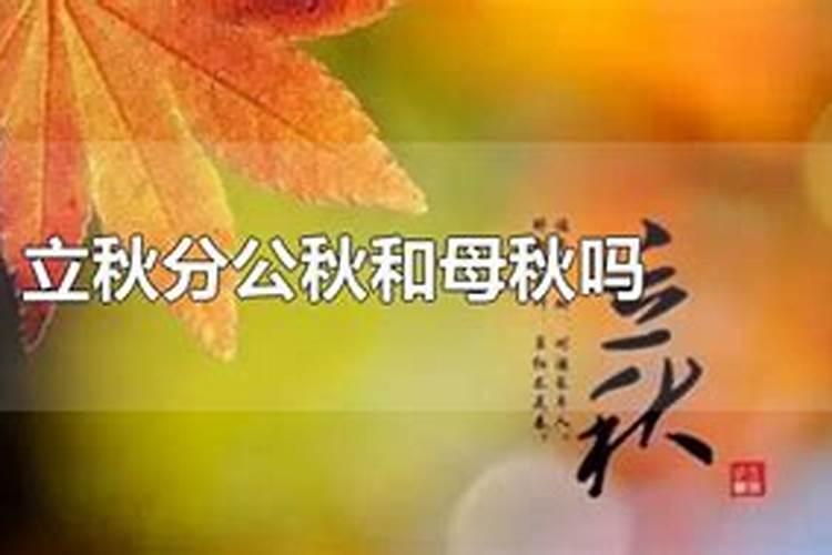 立秋什么时候可以上坟祭祖