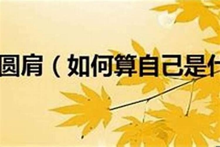 西方鬼节2023年几月几号结束