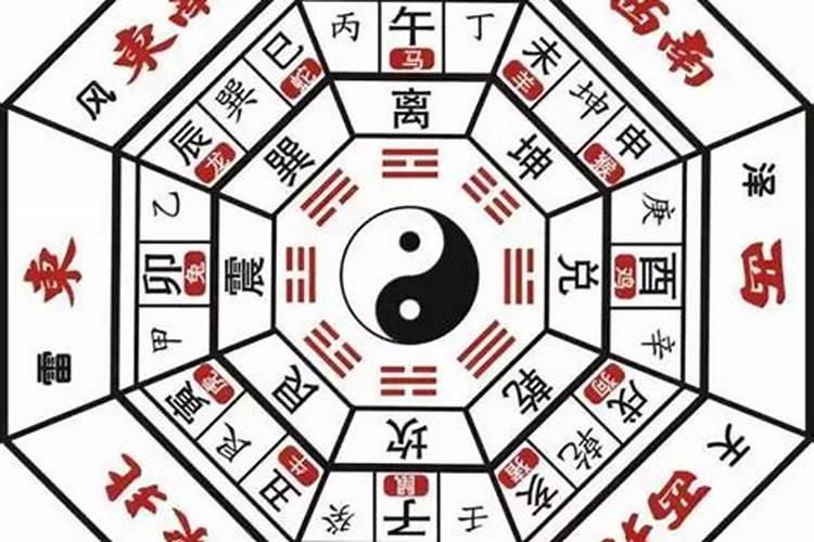 八字中的合神是什么意思