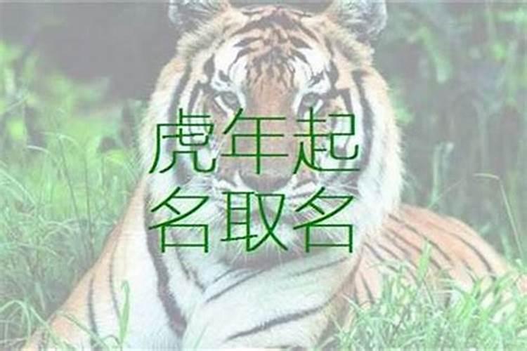 属虎禁忌字