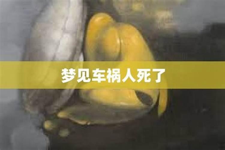 梦见车祸人死的很惨