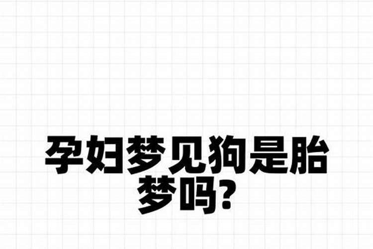 怀孕的人梦到狗是胎梦吗还是胎梦