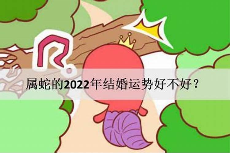 属蛇的2022年婚姻如何