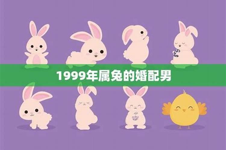 1999年属兔的结婚年龄是多少呢