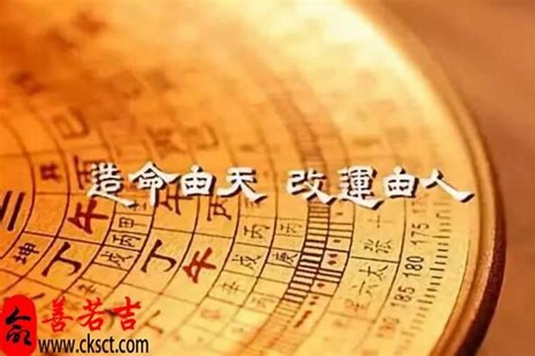 2023年属牛人下半年运势怎么样呢