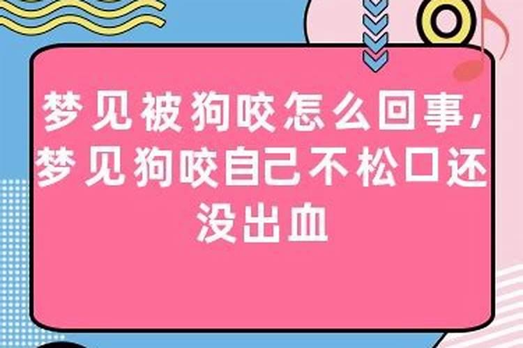 梦见狗咬住自己不放是什么意思