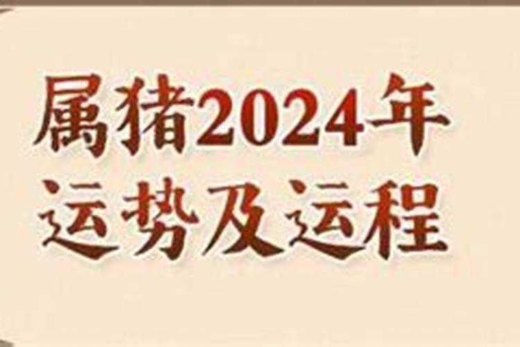 属猪人2024年运势查询