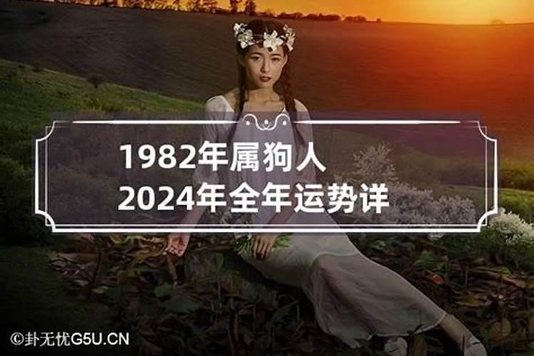 1982在2024运程如何？