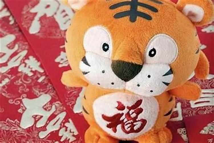 属猪人2023年运势运程猪女命运