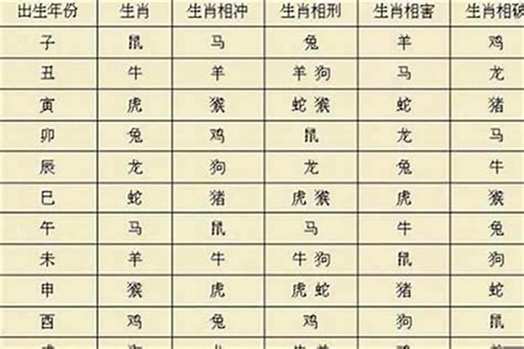 99年与99年的八字合吗