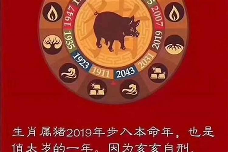 今年的害太岁的生肖2020