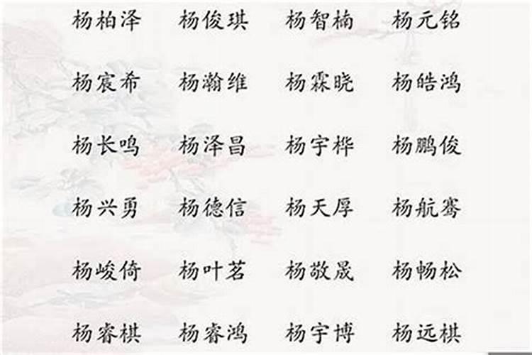 姓杨属虎取什么名字好