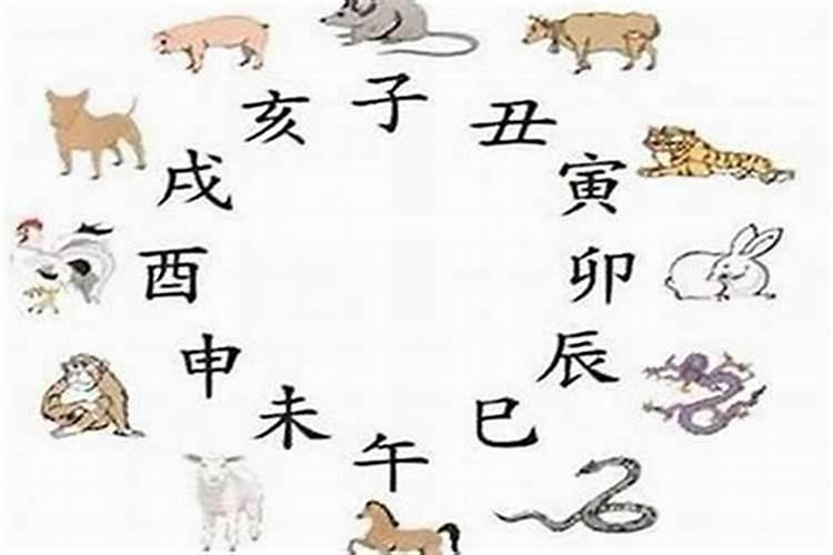 家字属什么生肖和动物