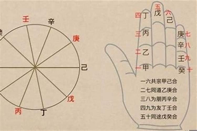 八字乙庚五合是什么意思？